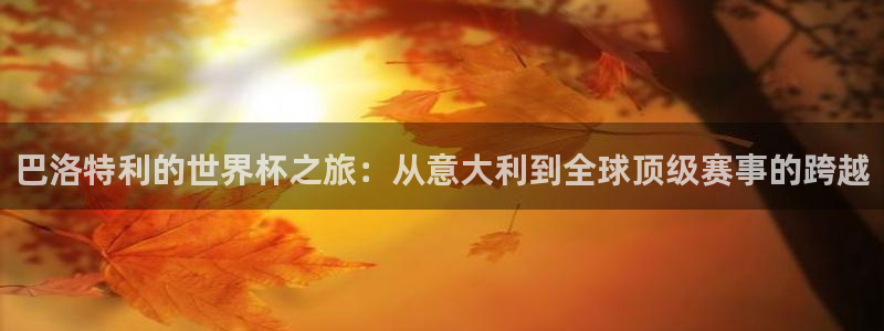 2026年世界杯直播平台：巴洛特利的世界杯之旅：从意大利到全球顶级赛事的跨越