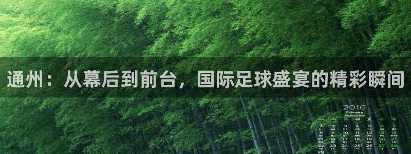 世界杯直播免费观看：通州：从幕后到前台，国际足球盛宴的精彩瞬间