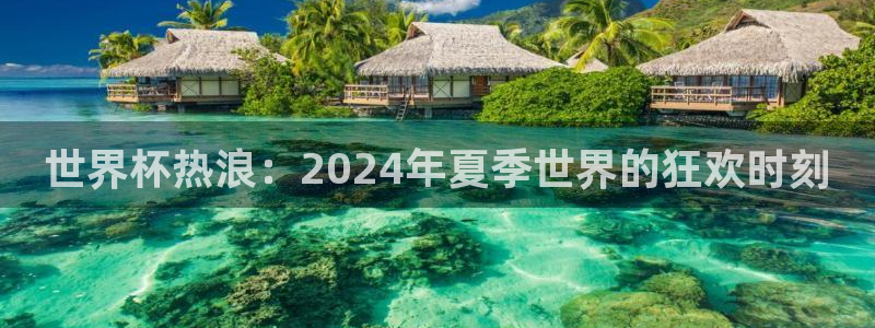 欧洲世预赛赛程表：世界杯热浪：2024年夏季世界的狂欢时刻