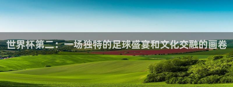 国际足联世界杯：世界杯第二：一场独特的足球盛宴和文化交融的画卷